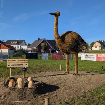 Strohpark 20250022