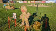 Strohpark_20250016.jpg