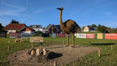 Strohpark_20250022.jpg